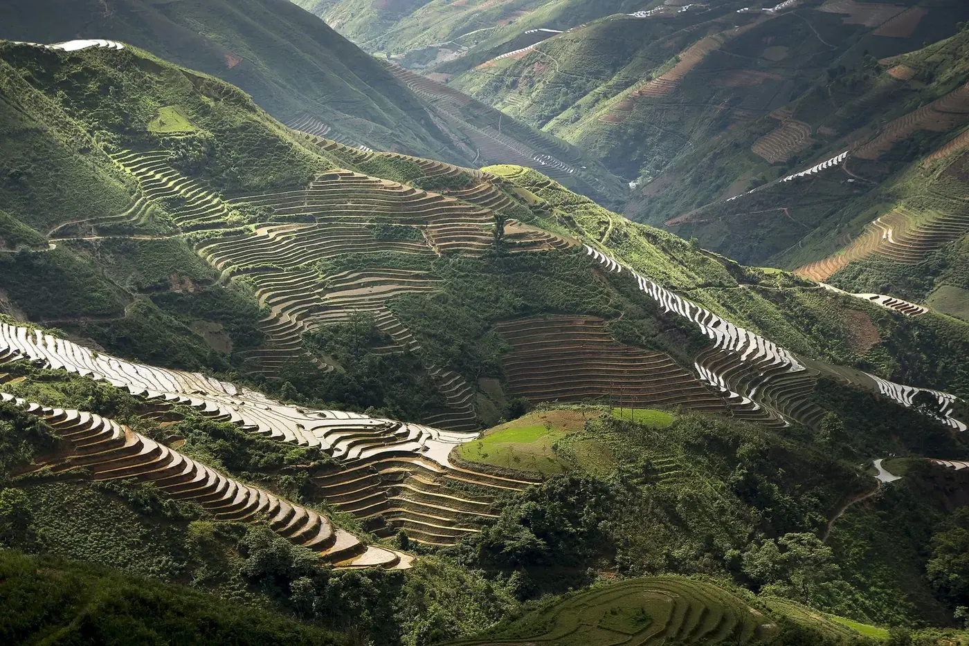 Terraced paddy fields cascading down a steep valley in Son La, Vietnam